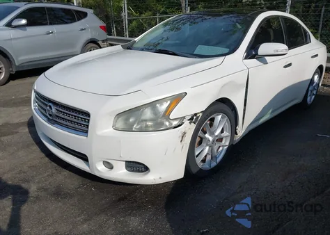 2011 Nissan Maxima 3.5 Sv z USA, uszkodzony, nr VIN 1N4AA5AP7BC833747